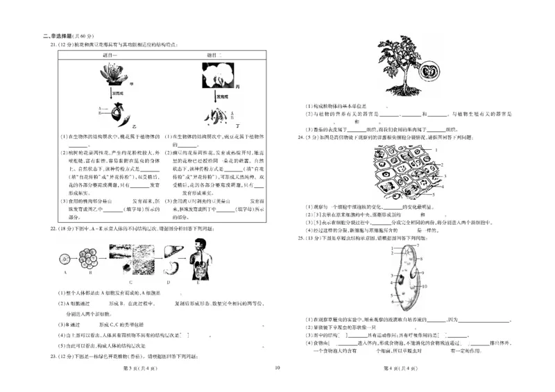 黄冈全优卷生物7a_1、初中学习资料_24秋试卷_初中全科《黄冈全优卷》(1)
