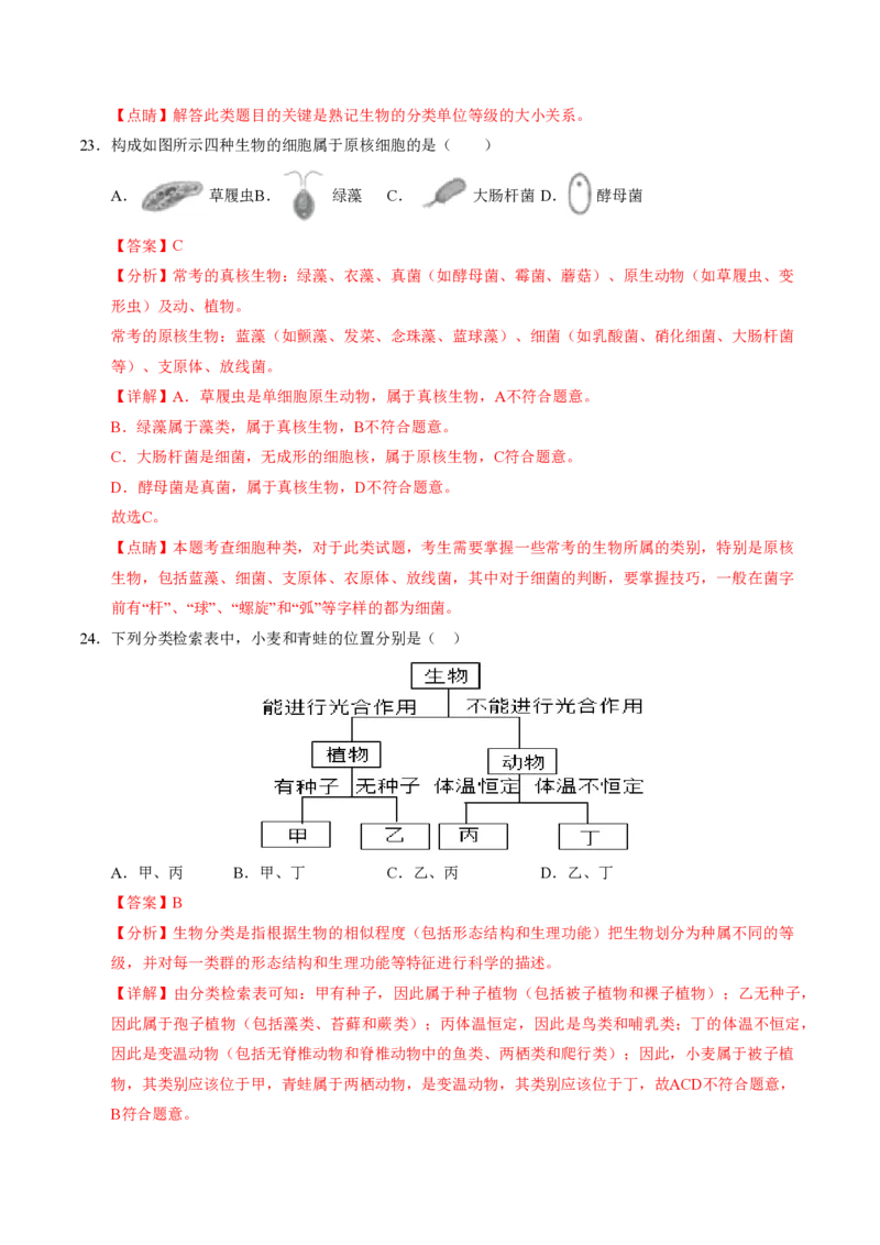 七年级生物期末模拟卷02（全解全析）（人教版2024）_5、期末试卷合集_2024年七上各科各版本期末复习试卷