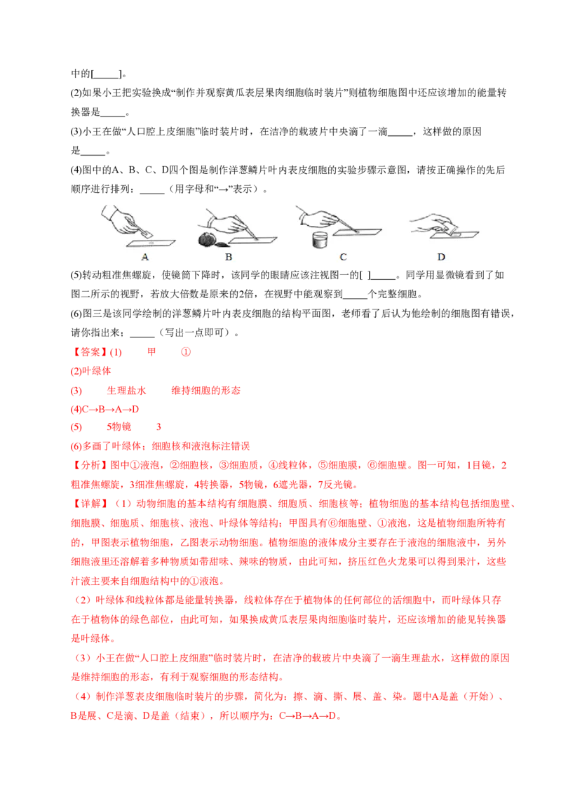 七年级生物期末模拟卷02（全解全析）（人教版2024）_5、期末试卷合集_2024年七上各科各版本期末复习试卷