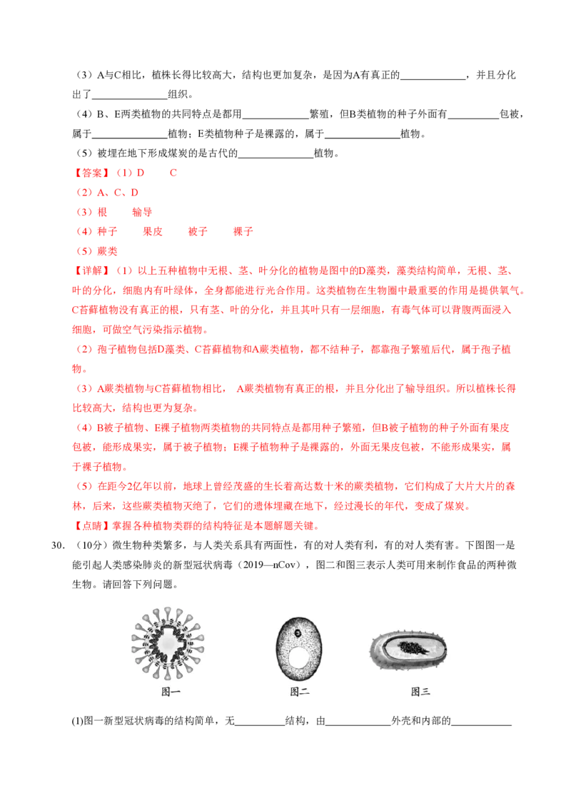 七年级生物期末模拟卷02（全解全析）（人教版2024）_5、期末试卷合集_2024年七上各科各版本期末复习试卷