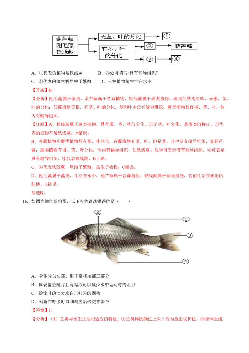 七年级生物期末模拟卷02（全解全析）（人教版2024）_5、期末试卷合集_2024年七上各科各版本期末复习试卷