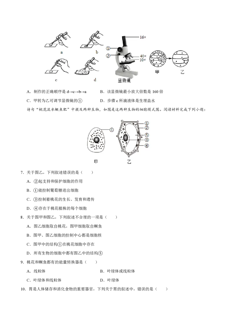 七年级生物期末模拟卷测试范围：北师大版2024全册（考试版）_5、期末试卷合集_2024年七上各科各版本期末复习试卷