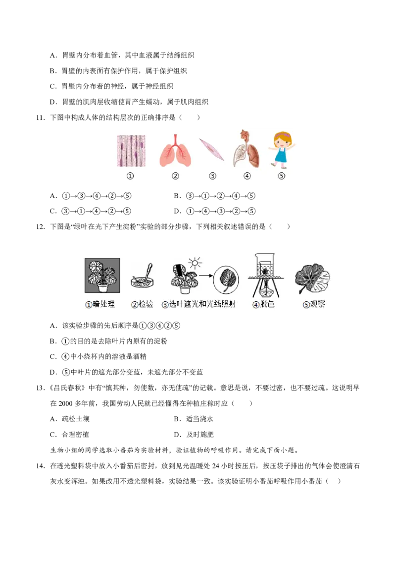 七年级生物期末模拟卷测试范围：北师大版2024全册（考试版）_5、期末试卷合集_2024年七上各科各版本期末复习试卷
