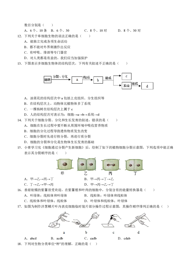 七年级生物期末模拟卷（考试版）测试范围：七上全册（苏科版2024）_5、期末试卷合集_2024年七上各科各版本期末复习试卷
