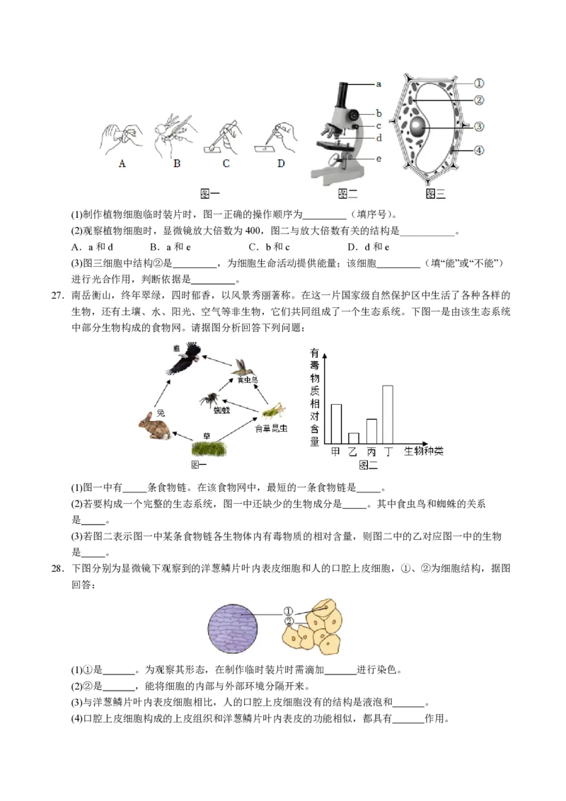 七年级生物期末模拟卷（考试版）测试范围：七上全册（苏科版2024）_5、期末试卷合集_2024年七上各科各版本期末复习试卷