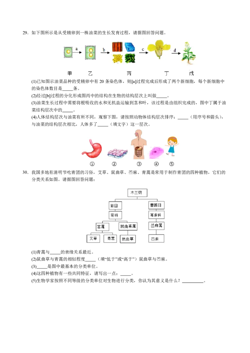 七年级生物期末模拟卷（考试版）测试范围：七上全册（苏科版2024）_5、期末试卷合集_2024年七上各科各版本期末复习试卷