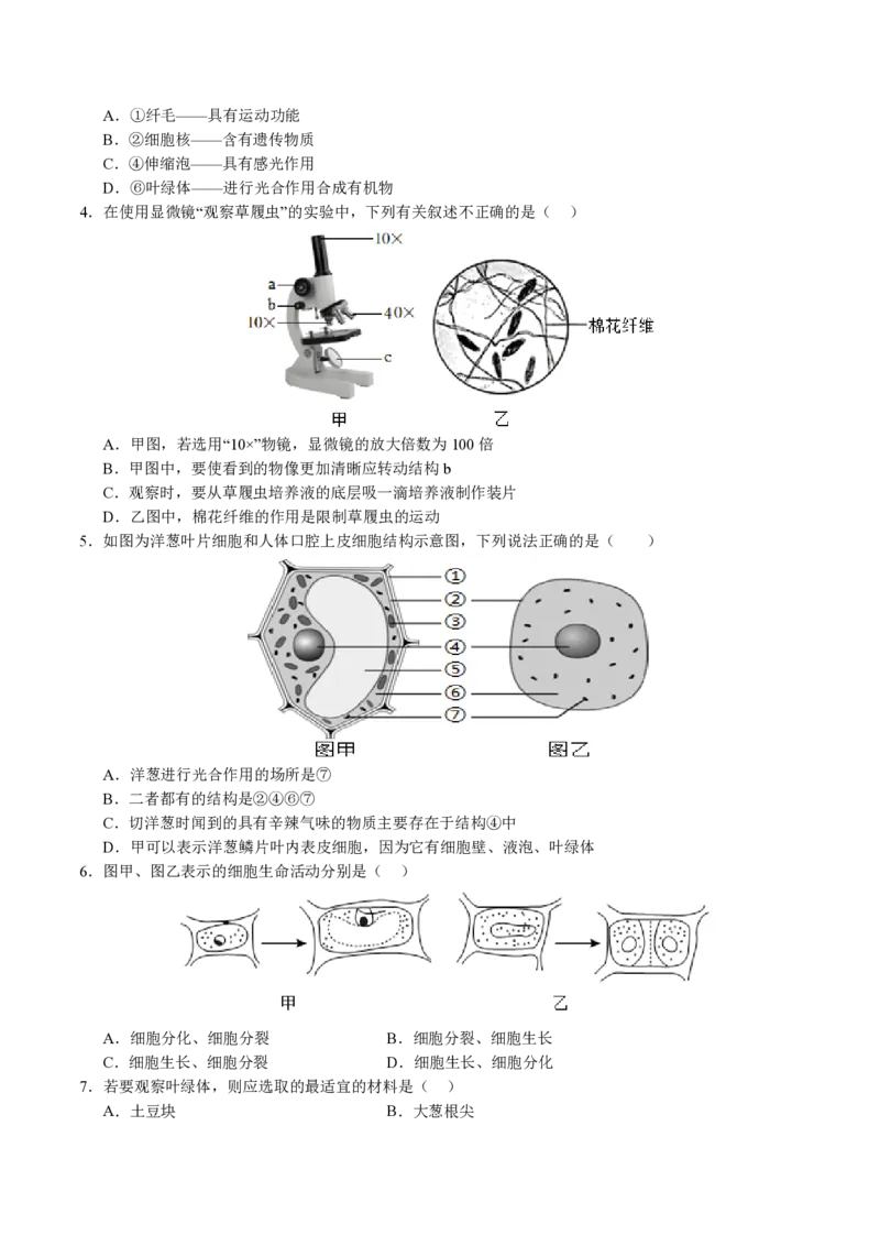 七年级生物期末模拟卷（考试版）测试范围：七上全册（苏教版2024）_5、期末试卷合集_2024年七上各科各版本期末复习试卷