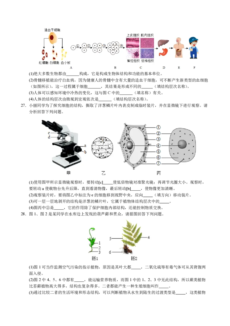 七年级生物期末模拟卷（考试版）测试范围：七上全册（苏教版2024）_5、期末试卷合集_2024年七上各科各版本期末复习试卷
