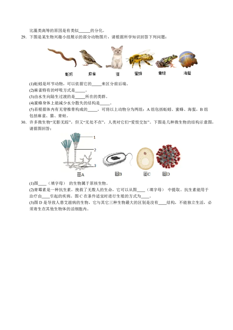七年级生物期末模拟卷（考试版）测试范围：七上全册（苏教版2024）_5、期末试卷合集_2024年七上各科各版本期末复习试卷