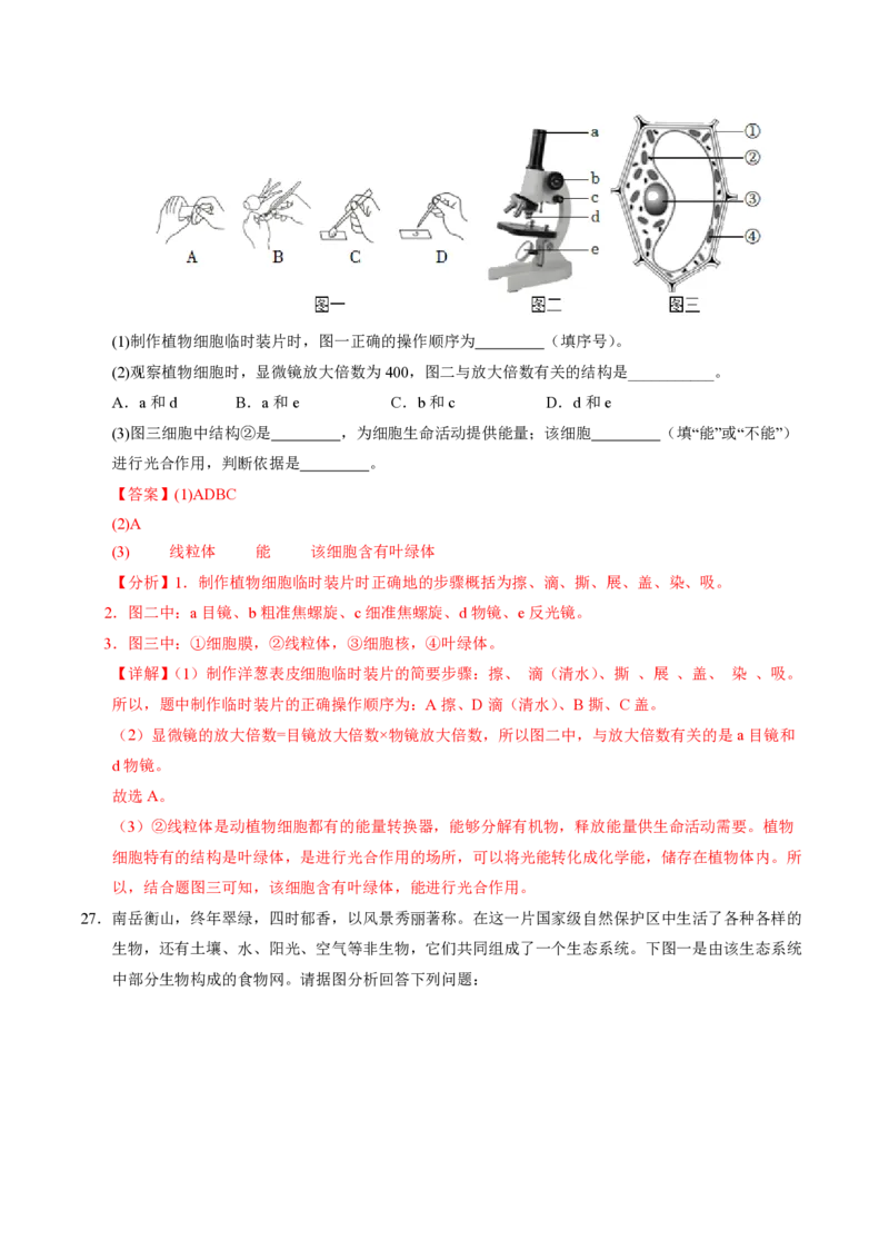 七年级生物期末模拟卷（全解全析）（苏科版2024）_5、期末试卷合集_2024年七上各科各版本期末复习试卷