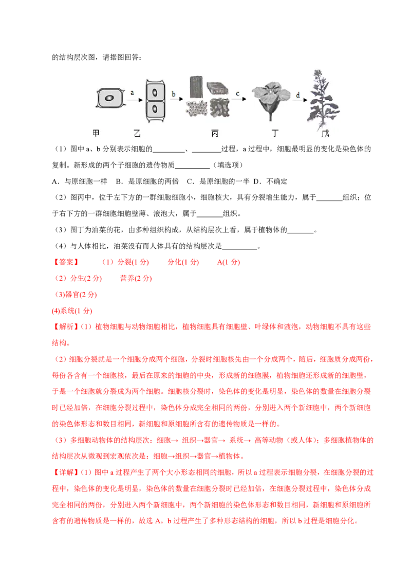 七年级生物期末模拟卷（全解全析）（北师大版2024）_5、期末试卷合集_2024年七上各科各版本期末复习试卷