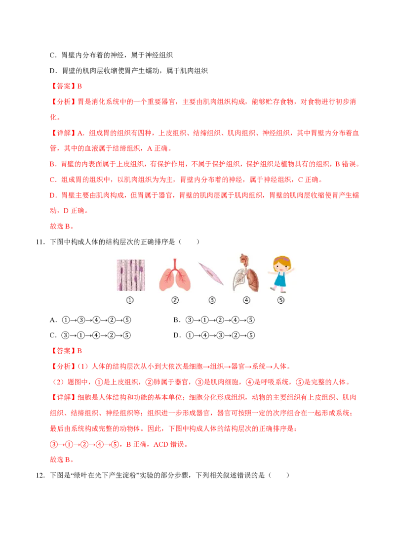 七年级生物期末模拟卷（全解全析）（北师大版2024）_5、期末试卷合集_2024年七上各科各版本期末复习试卷