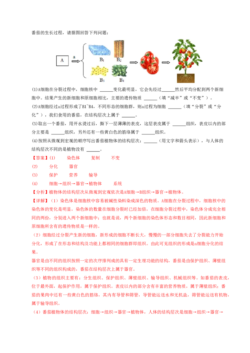 七年级生物期末模拟卷01（全解全析）（人教版2024）_5、期末试卷合集_2024年七上各科各版本期末复习试卷