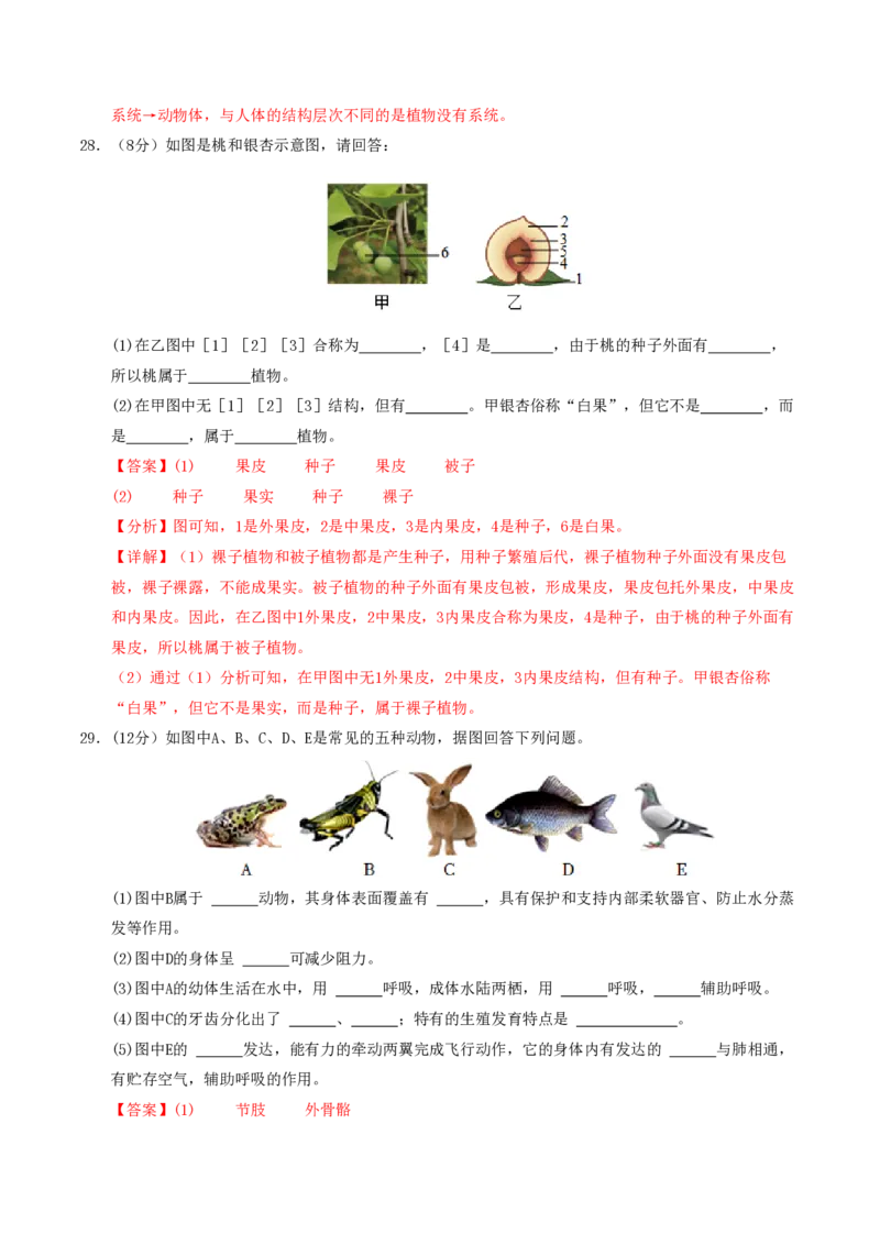 七年级生物期末模拟卷01（全解全析）（人教版2024）_5、期末试卷合集_2024年七上各科各版本期末复习试卷