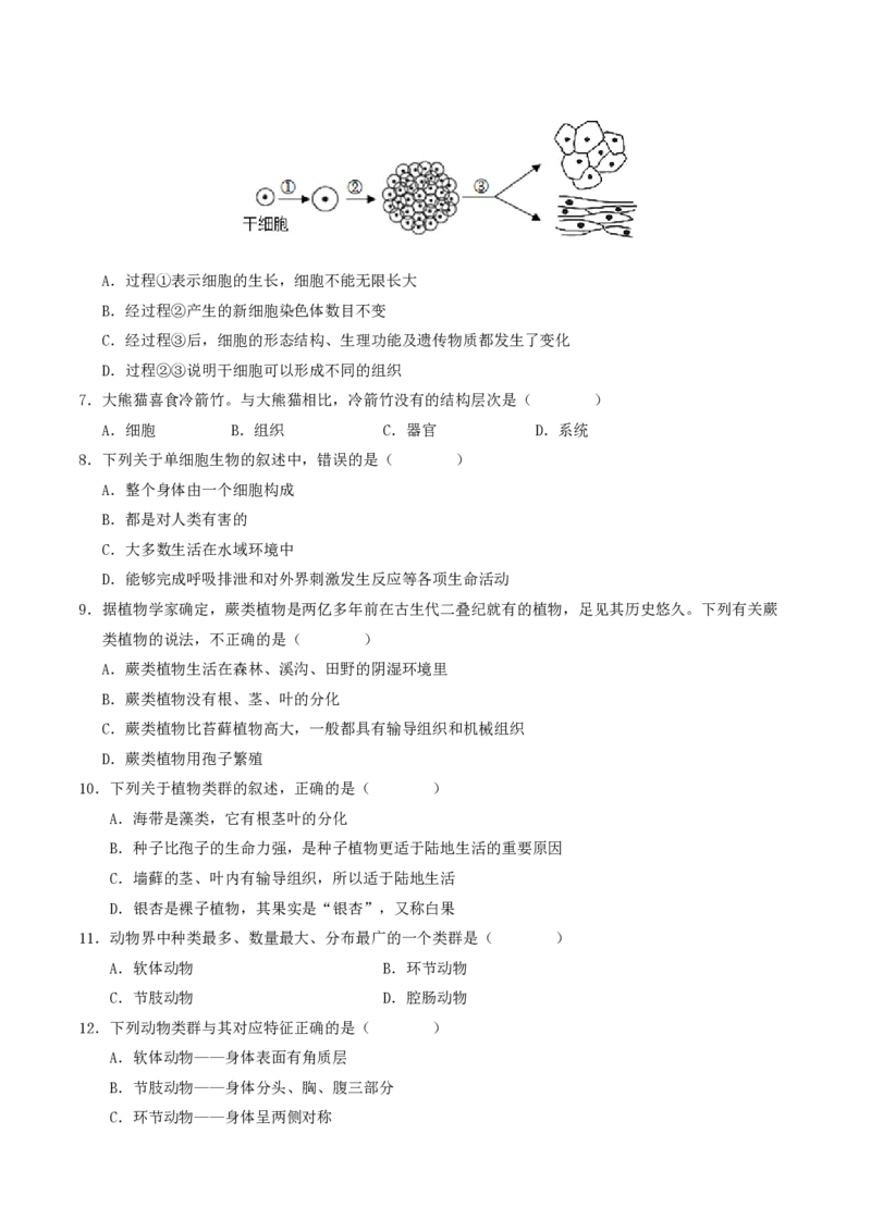 七年级生物期末模拟卷01（考试版A4）测试范围：上册全册（人教版2024）_5、期末试卷合集_2024年七上各科各版本期末复习试卷
