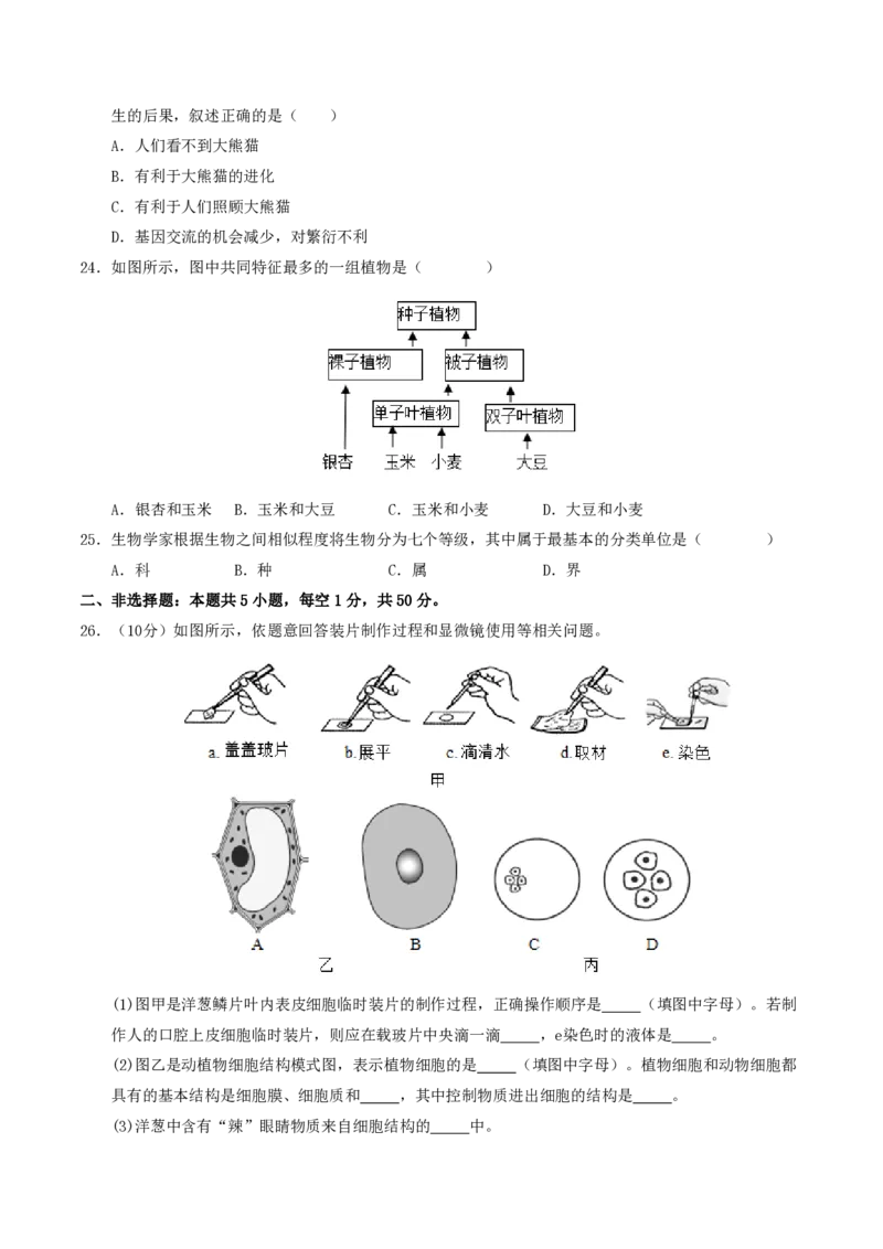 七年级生物期末模拟卷01（考试版A4）测试范围：上册全册（人教版2024）_5、期末试卷合集_2024年七上各科各版本期末复习试卷