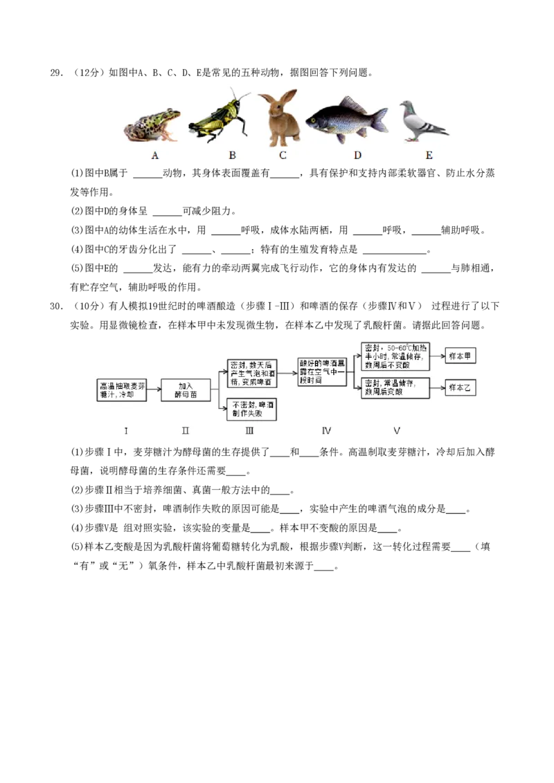 七年级生物期末模拟卷01（考试版A4）测试范围：上册全册（人教版2024）_5、期末试卷合集_2024年七上各科各版本期末复习试卷