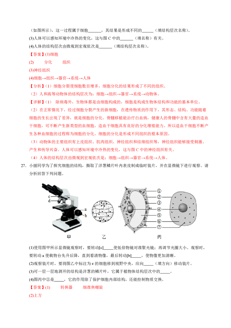七年级生物期末模拟卷（全解全析）（苏教版2024）_5、期末试卷合集_2024年七上各科各版本期末复习试卷
