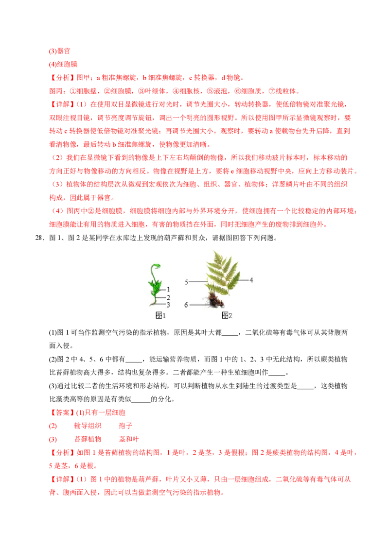 七年级生物期末模拟卷（全解全析）（苏教版2024）_5、期末试卷合集_2024年七上各科各版本期末复习试卷