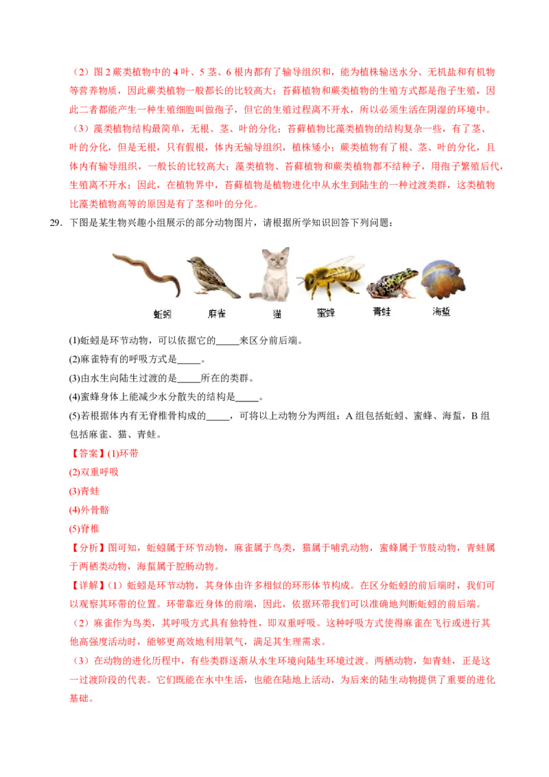 七年级生物期末模拟卷（全解全析）（苏教版2024）_5、期末试卷合集_2024年七上各科各版本期末复习试卷