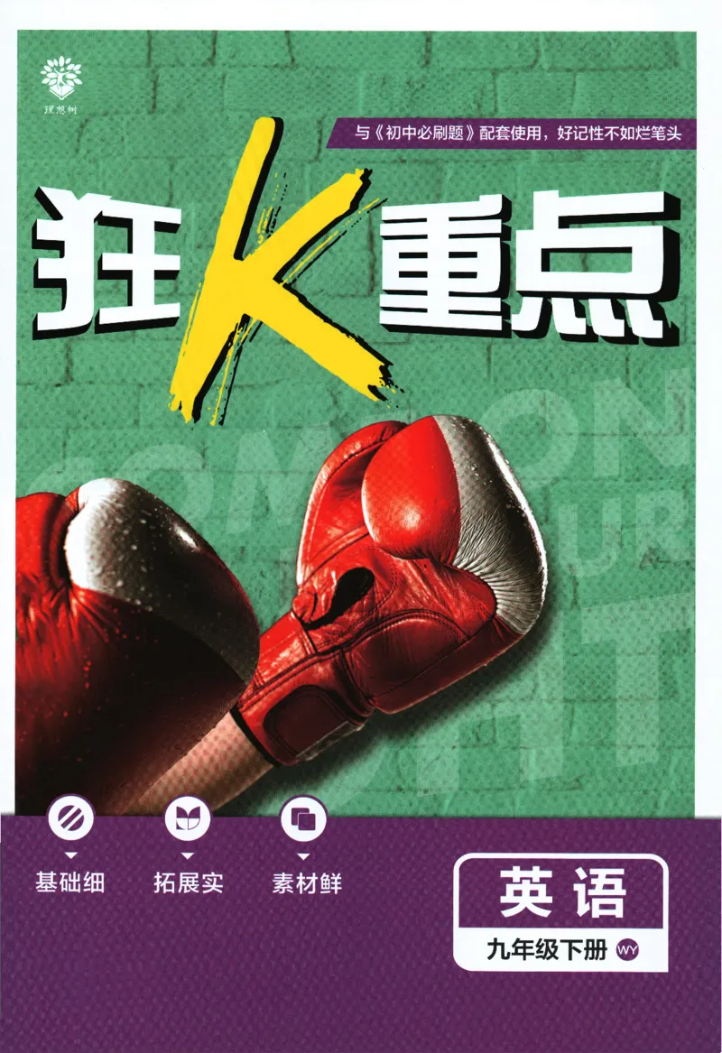 2024版《初中必刷题》英语9下（WY）-狂K重点_2、2025初中必刷题合集_初中必刷题23+24+25上册_24初中必刷题上册+下册全_可信网络等多个文件_2024版-下册_9年级下册_033.24-9下英语外研版