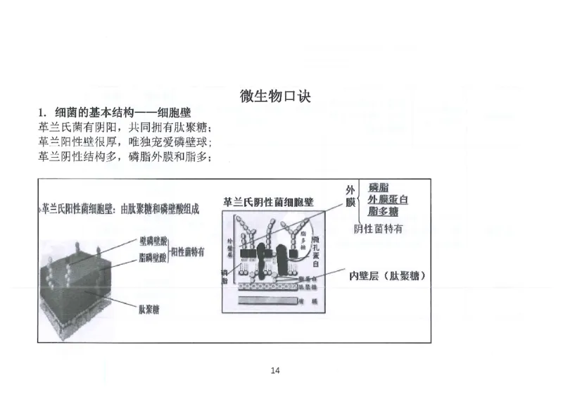 执兽考试速背秘籍_JH-013执业兽医_4.考试速背秘籍
