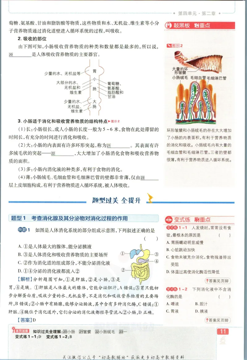 七年级下册生物人教版狂K重点_2、2025初中必刷题合集_初中必刷题23+24+25上册_25初中必刷_可信网络等多个文件_初中必刷题_历年必刷题和24上册_2023版_01.2023版七年必刷题