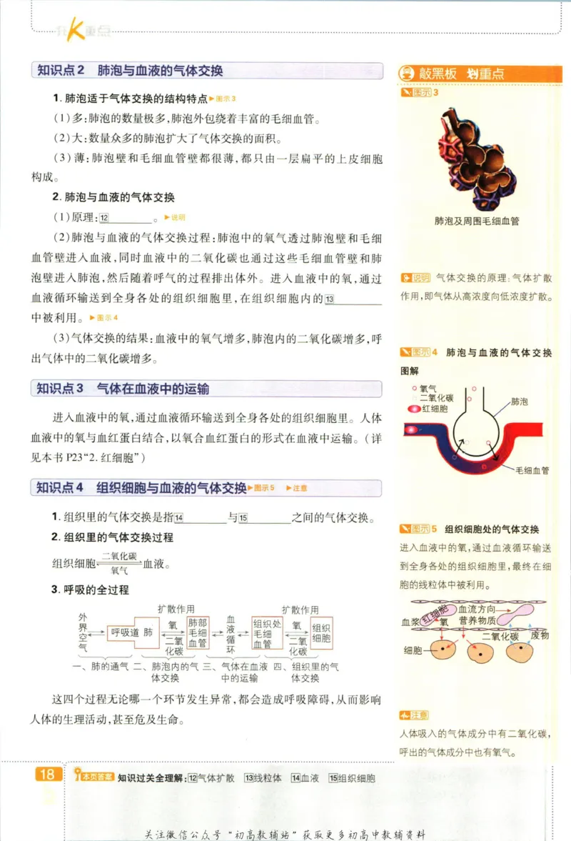 七年级下册生物人教版狂K重点_2、2025初中必刷题合集_初中必刷题23+24+25上册_25初中必刷_可信网络等多个文件_初中必刷题_历年必刷题和24上册_2023版_01.2023版七年必刷题
