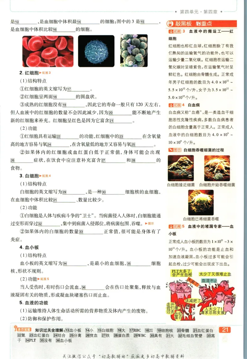 七年级下册生物人教版狂K重点_2、2025初中必刷题合集_初中必刷题23+24+25上册_25初中必刷_可信网络等多个文件_初中必刷题_历年必刷题和24上册_2023版_01.2023版七年必刷题