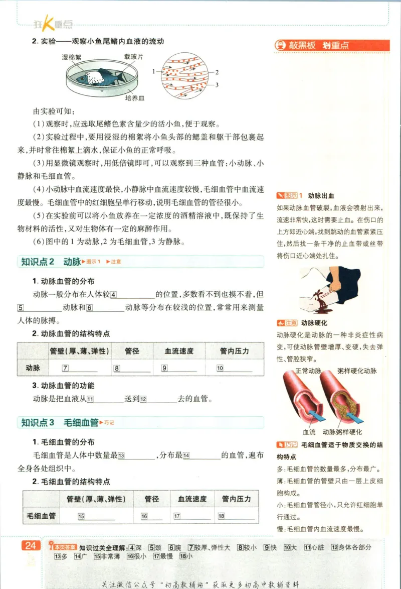 七年级下册生物人教版狂K重点_2、2025初中必刷题合集_初中必刷题23+24+25上册_25初中必刷_可信网络等多个文件_初中必刷题_历年必刷题和24上册_2023版_01.2023版七年必刷题