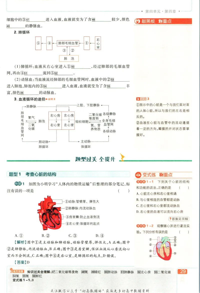 七年级下册生物人教版狂K重点_2、2025初中必刷题合集_初中必刷题23+24+25上册_25初中必刷_可信网络等多个文件_初中必刷题_历年必刷题和24上册_2023版_01.2023版七年必刷题