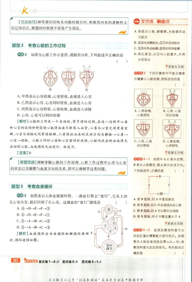 七年级下册生物人教版狂K重点_2、2025初中必刷题合集_初中必刷题23+24+25上册_25初中必刷_可信网络等多个文件_初中必刷题_历年必刷题和24上册_2023版_01.2023版七年必刷题