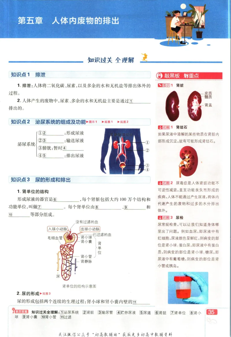 七年级下册生物人教版狂K重点_2、2025初中必刷题合集_初中必刷题23+24+25上册_25初中必刷_可信网络等多个文件_初中必刷题_历年必刷题和24上册_2023版_01.2023版七年必刷题