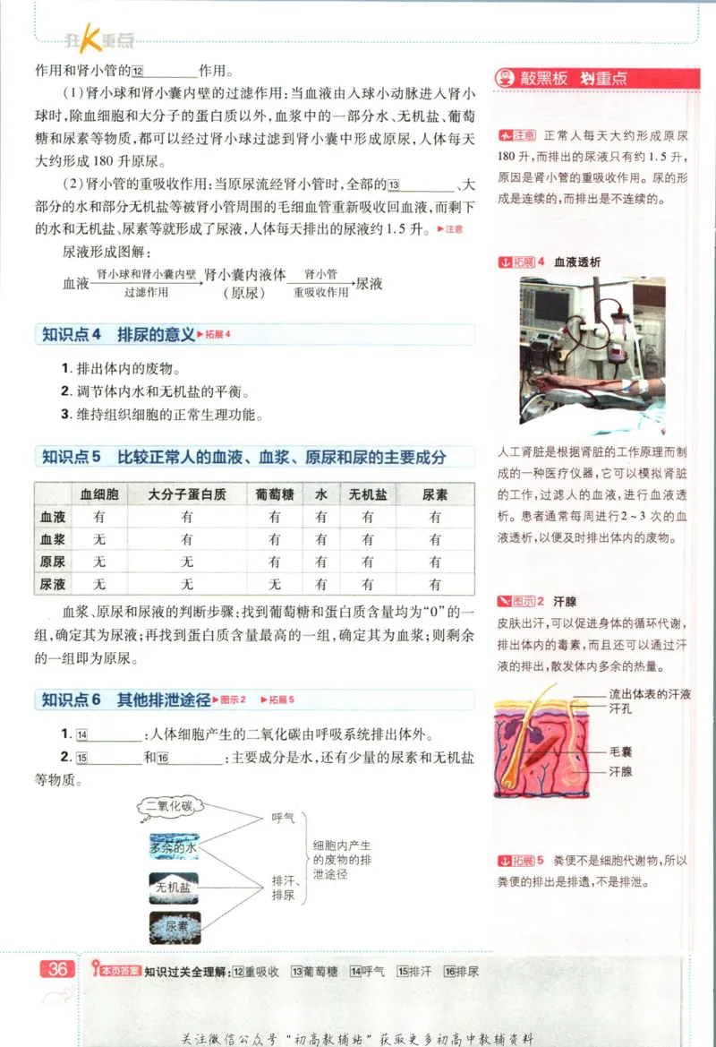 七年级下册生物人教版狂K重点_2、2025初中必刷题合集_初中必刷题23+24+25上册_25初中必刷_可信网络等多个文件_初中必刷题_历年必刷题和24上册_2023版_01.2023版七年必刷题