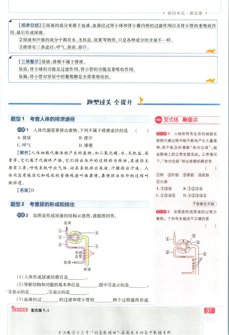 七年级下册生物人教版狂K重点_2、2025初中必刷题合集_初中必刷题23+24+25上册_25初中必刷_可信网络等多个文件_初中必刷题_历年必刷题和24上册_2023版_01.2023版七年必刷题