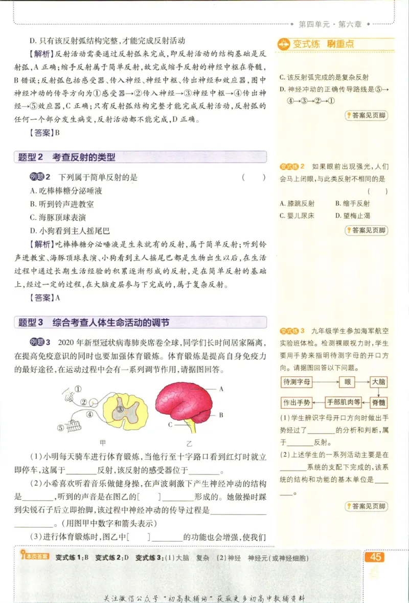 七年级下册生物人教版狂K重点_2、2025初中必刷题合集_初中必刷题23+24+25上册_25初中必刷_可信网络等多个文件_初中必刷题_历年必刷题和24上册_2023版_01.2023版七年必刷题