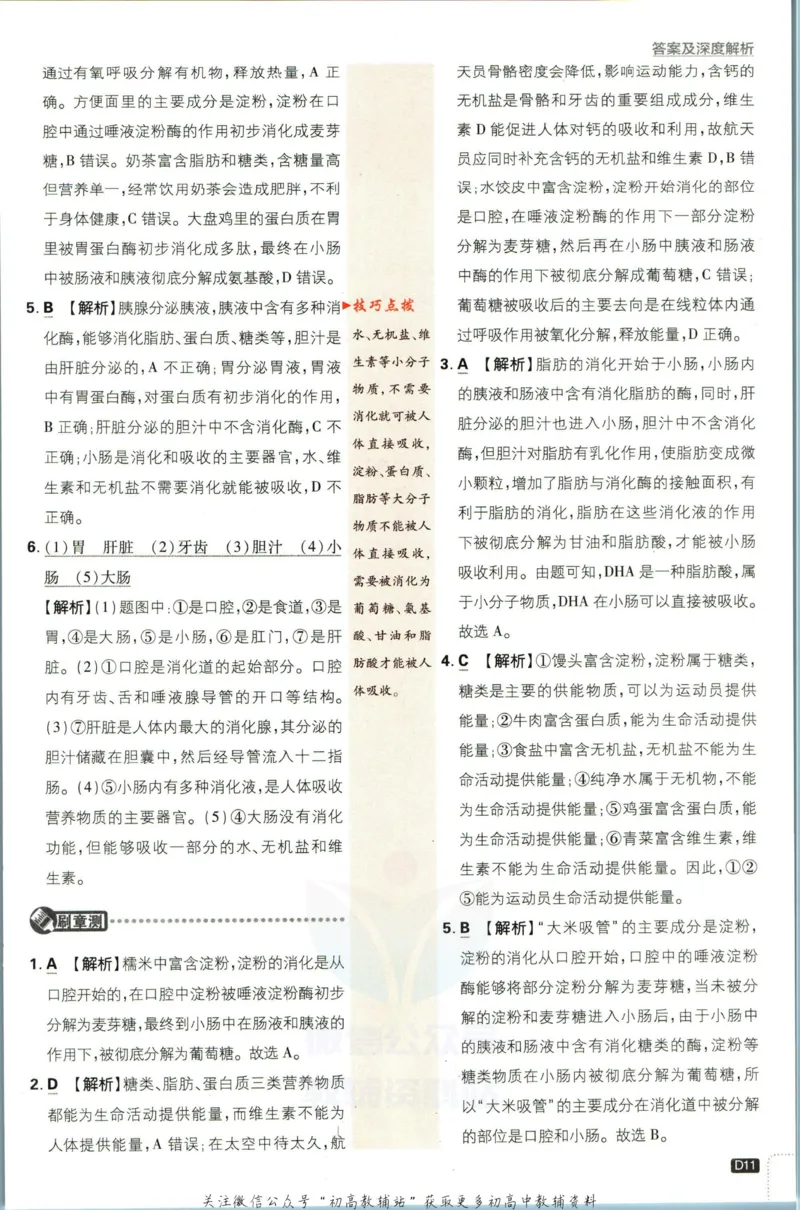 七年级下册生物人教版答案_2、2025初中必刷题合集_初中必刷题23+24+25上册_25初中必刷_可信网络等多个文件_初中必刷题_历年必刷题和24上册_2023版_01.2023版七年必刷题