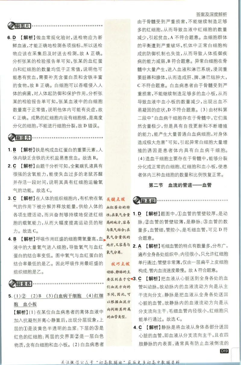 七年级下册生物人教版答案_2、2025初中必刷题合集_初中必刷题23+24+25上册_25初中必刷_可信网络等多个文件_初中必刷题_历年必刷题和24上册_2023版_01.2023版七年必刷题