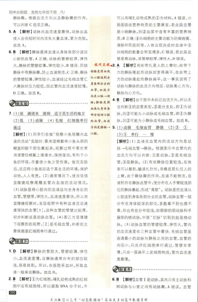 七年级下册生物人教版答案_2、2025初中必刷题合集_初中必刷题23+24+25上册_25初中必刷_可信网络等多个文件_初中必刷题_历年必刷题和24上册_2023版_01.2023版七年必刷题