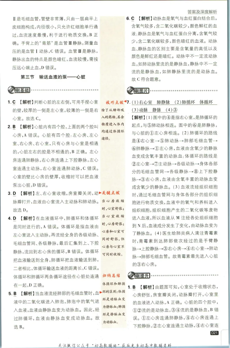 七年级下册生物人教版答案_2、2025初中必刷题合集_初中必刷题23+24+25上册_25初中必刷_可信网络等多个文件_初中必刷题_历年必刷题和24上册_2023版_01.2023版七年必刷题
