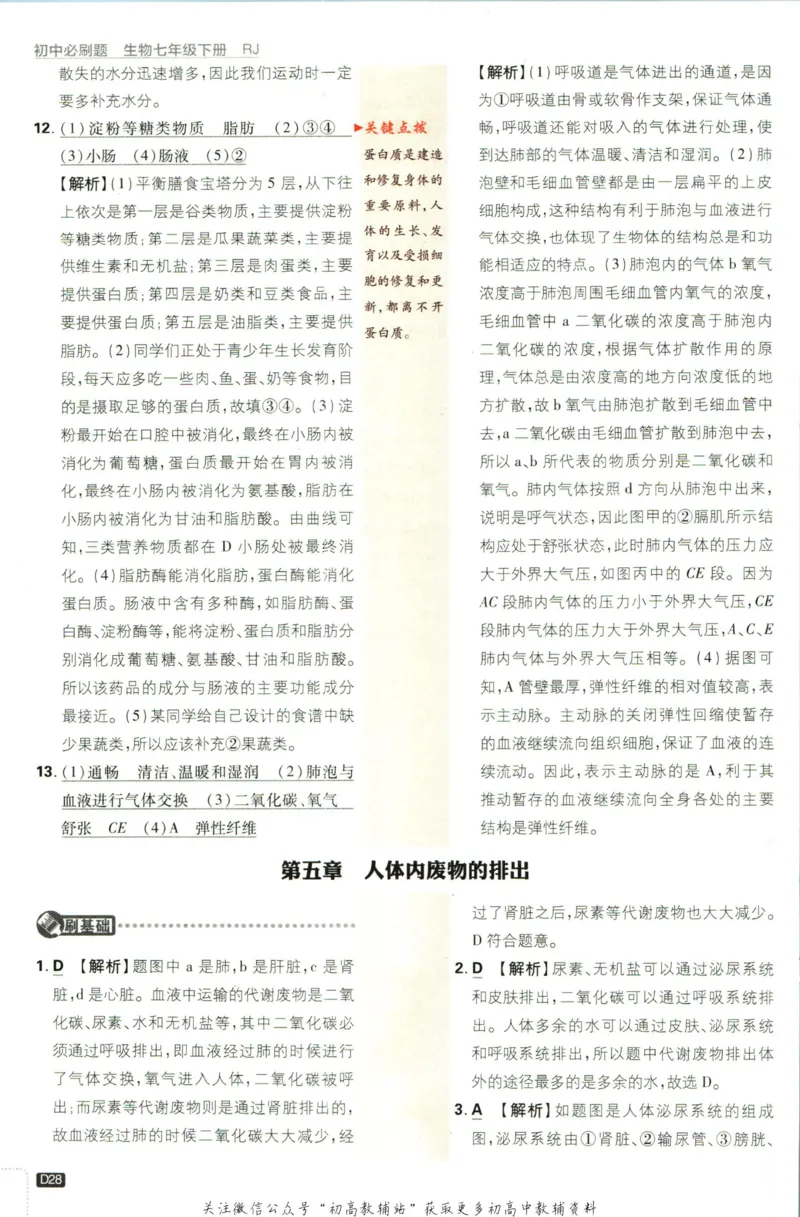 七年级下册生物人教版答案_2、2025初中必刷题合集_初中必刷题23+24+25上册_25初中必刷_可信网络等多个文件_初中必刷题_历年必刷题和24上册_2023版_01.2023版七年必刷题