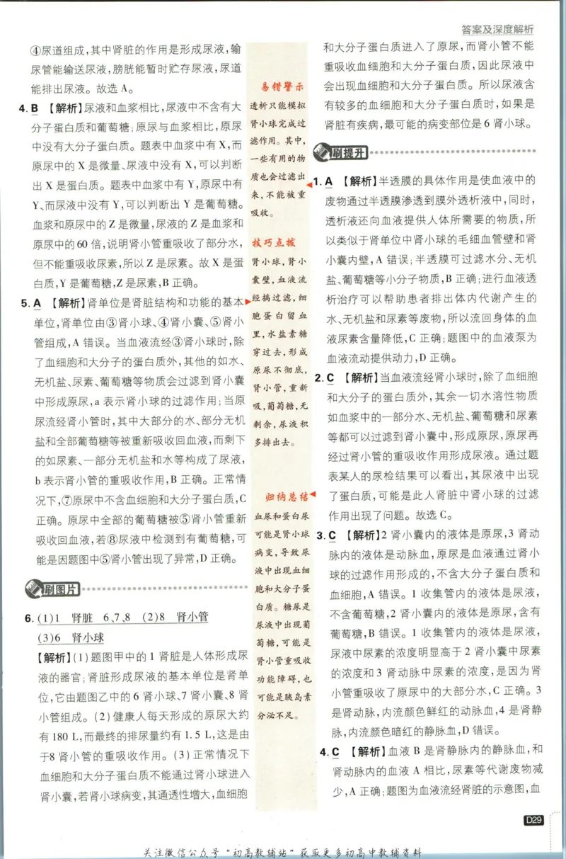 七年级下册生物人教版答案_2、2025初中必刷题合集_初中必刷题23+24+25上册_25初中必刷_可信网络等多个文件_初中必刷题_历年必刷题和24上册_2023版_01.2023版七年必刷题