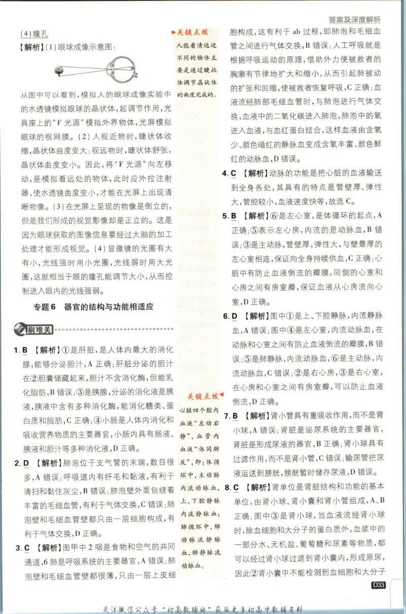 七年级下册生物人教版答案_2、2025初中必刷题合集_初中必刷题23+24+25上册_25初中必刷_可信网络等多个文件_初中必刷题_历年必刷题和24上册_2023版_01.2023版七年必刷题