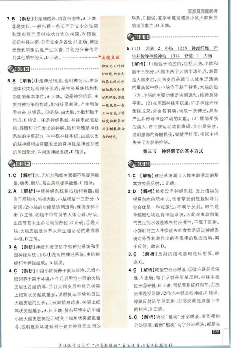 七年级下册生物人教版答案_2、2025初中必刷题合集_初中必刷题23+24+25上册_25初中必刷_可信网络等多个文件_初中必刷题_历年必刷题和24上册_2023版_01.2023版七年必刷题