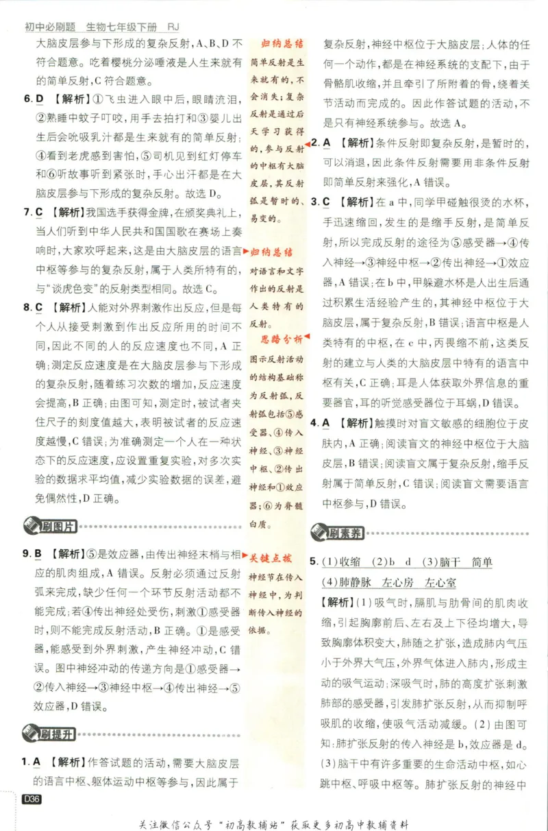 七年级下册生物人教版答案_2、2025初中必刷题合集_初中必刷题23+24+25上册_25初中必刷_可信网络等多个文件_初中必刷题_历年必刷题和24上册_2023版_01.2023版七年必刷题