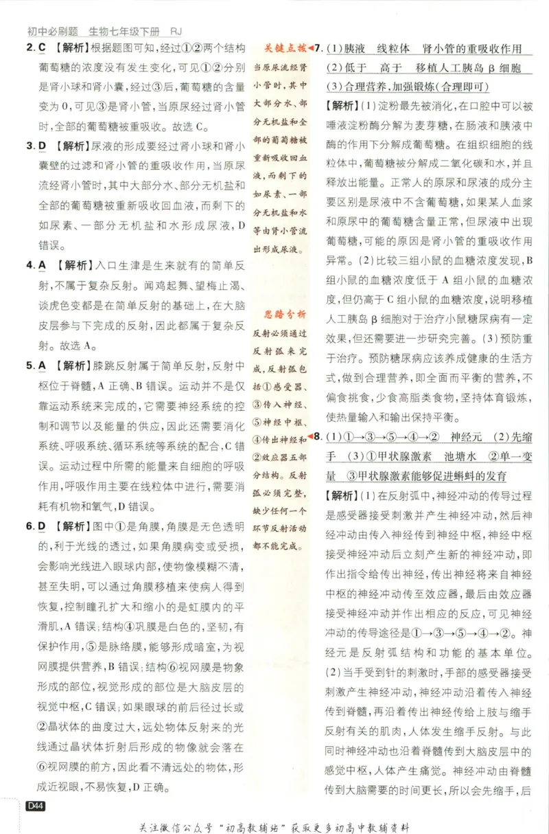 七年级下册生物人教版答案_2、2025初中必刷题合集_初中必刷题23+24+25上册_25初中必刷_可信网络等多个文件_初中必刷题_历年必刷题和24上册_2023版_01.2023版七年必刷题