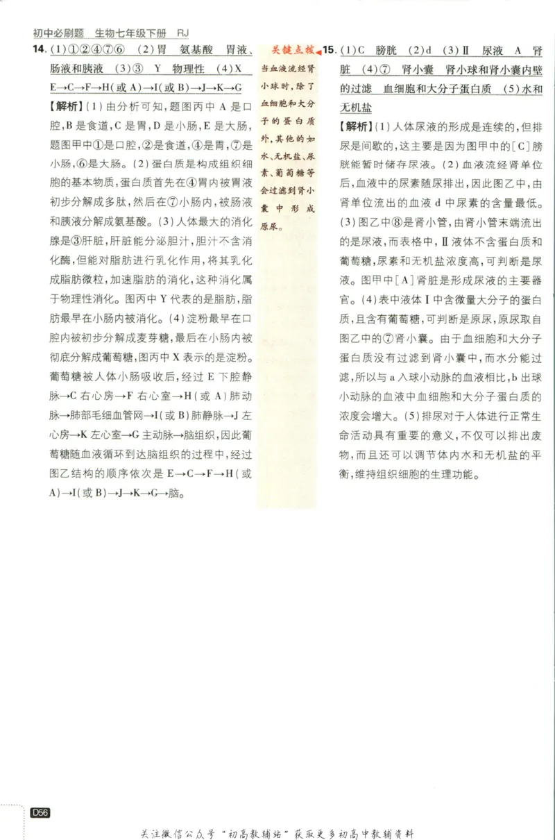 七年级下册生物人教版答案_2、2025初中必刷题合集_初中必刷题23+24+25上册_25初中必刷_可信网络等多个文件_初中必刷题_历年必刷题和24上册_2023版_01.2023版七年必刷题