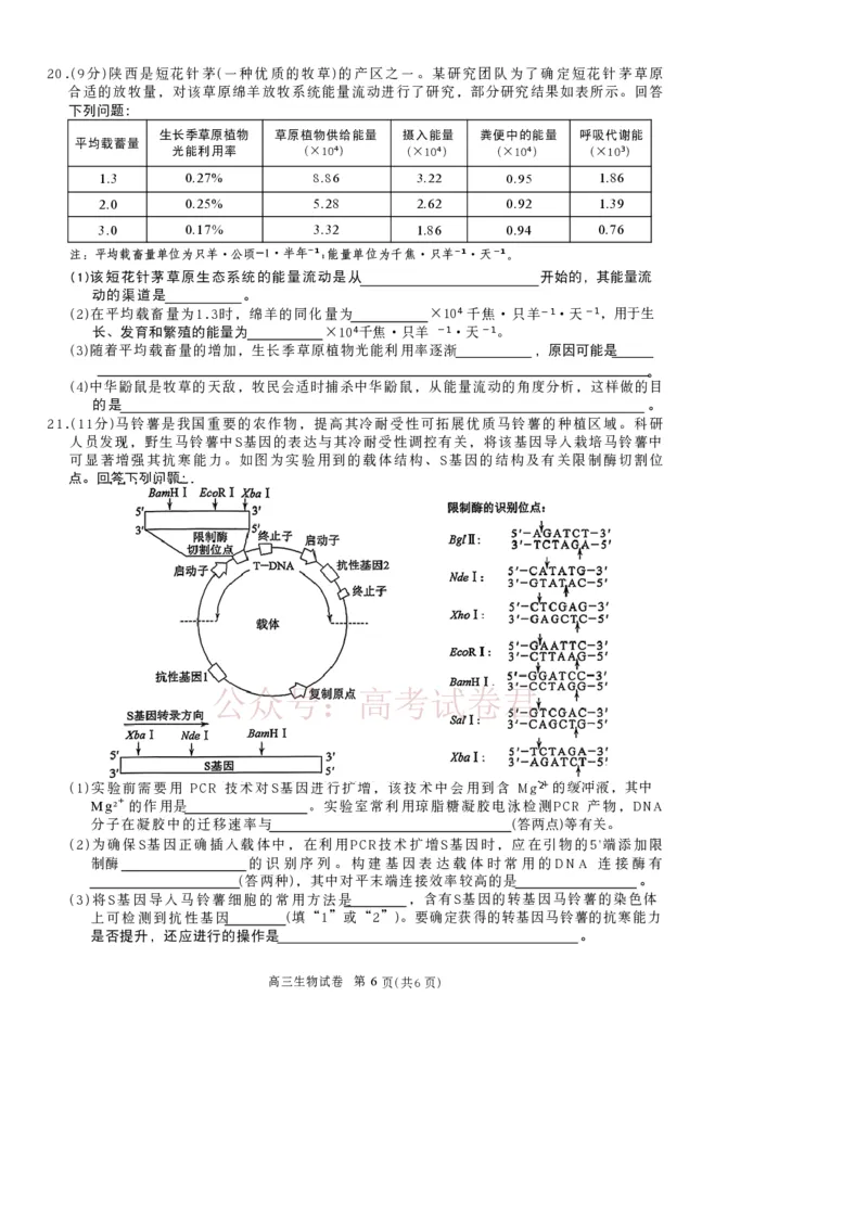 2026届陕西省商洛市高三一模生物试题_副本_2026届陕西商洛市高三下学期第一次模拟考试_06生物_陕西商洛市高三下学期第一次模拟考试