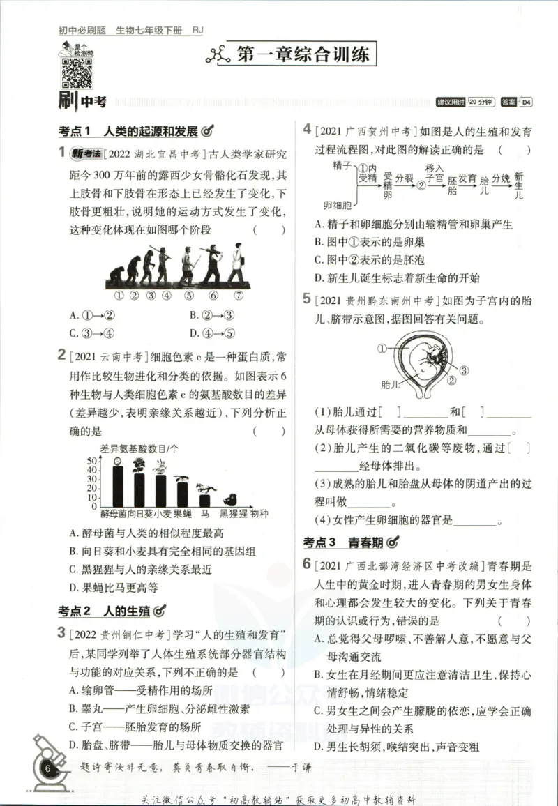 七年级下册生物人教版_2、2025初中必刷题合集_初中必刷题23+24+25上册_25初中必刷_可信网络等多个文件_初中必刷题_历年必刷题和24上册_2023版_01.2023版七年必刷题_06.1生物-人教版-上下两册