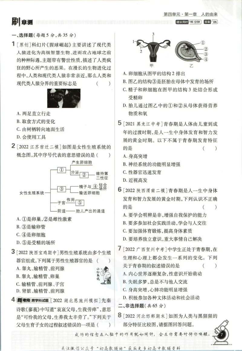 七年级下册生物人教版_2、2025初中必刷题合集_初中必刷题23+24+25上册_25初中必刷_可信网络等多个文件_初中必刷题_历年必刷题和24上册_2023版_01.2023版七年必刷题_06.1生物-人教版-上下两册